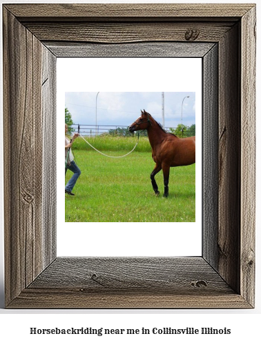 horseback riding near me in Collinsville, Illinois